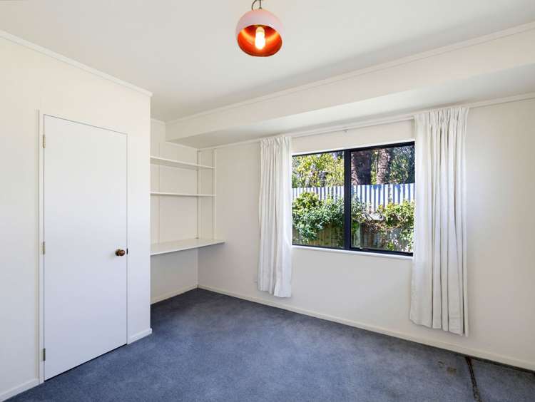 710 Seddon Street Raureka_13