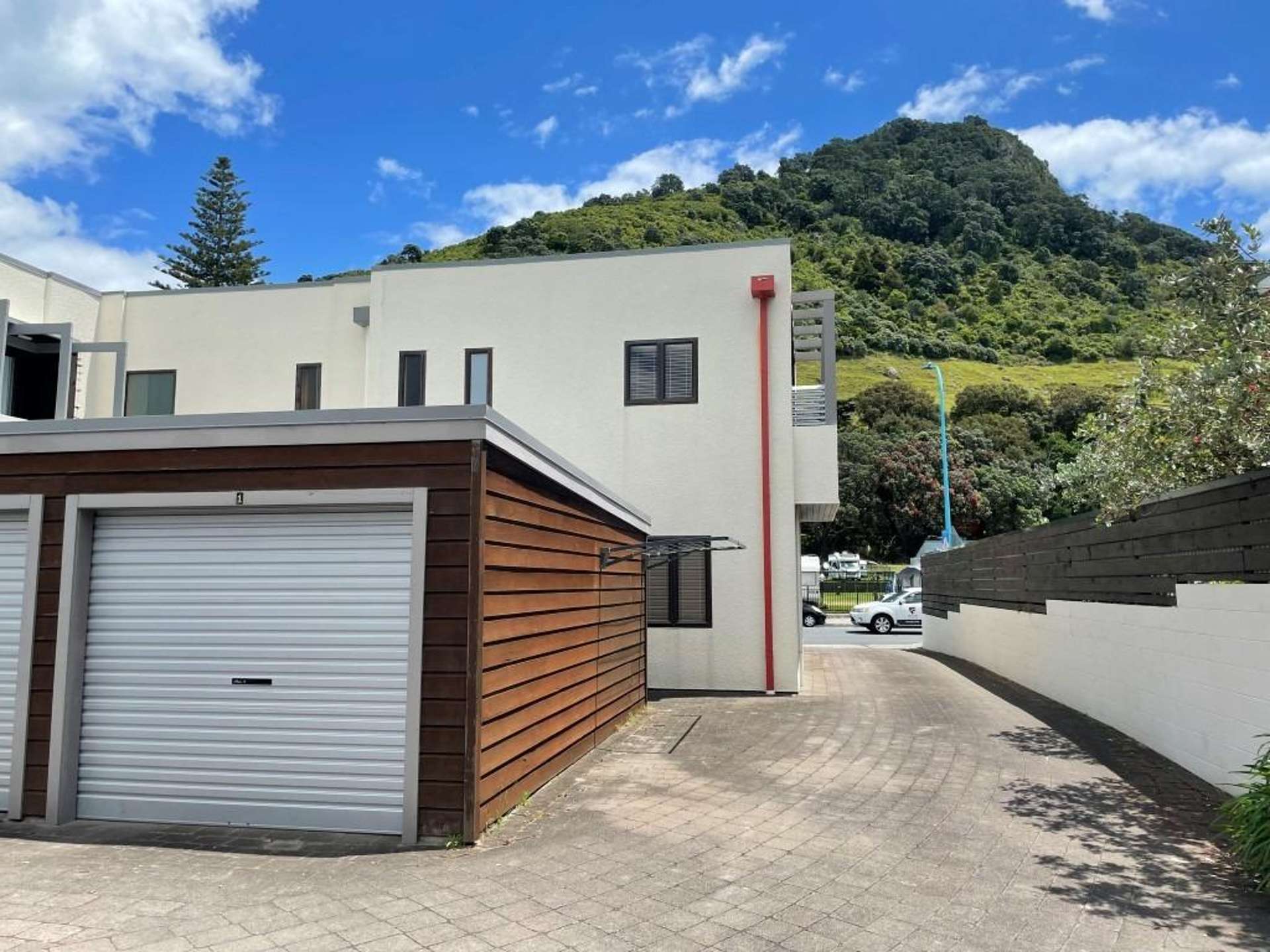 1/2 Adams Avenue Mount Maunganui_0