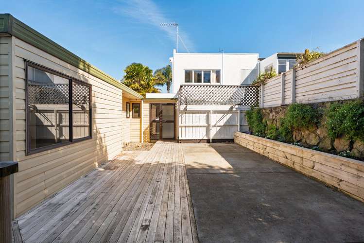 19 Ninth Avenue Tauranga_15