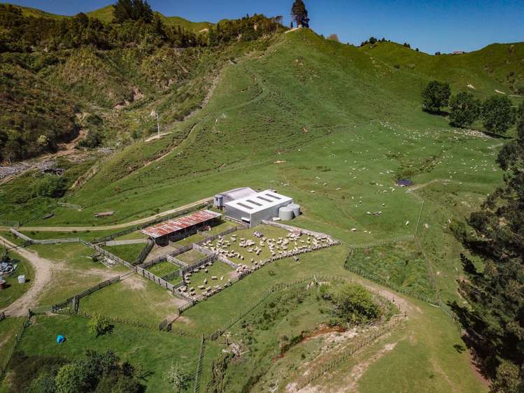 314 Kawautahi Road Owhango_20