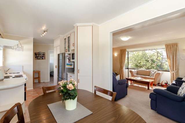 63 Guppy Road Greenmeadows_2