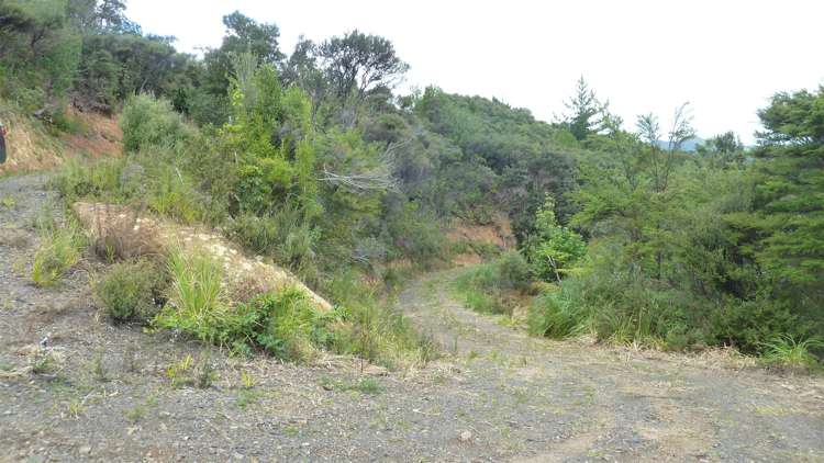 45 Otuturu Crescent Thames_16