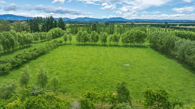 420A Woodfields Road Swannanoa_3