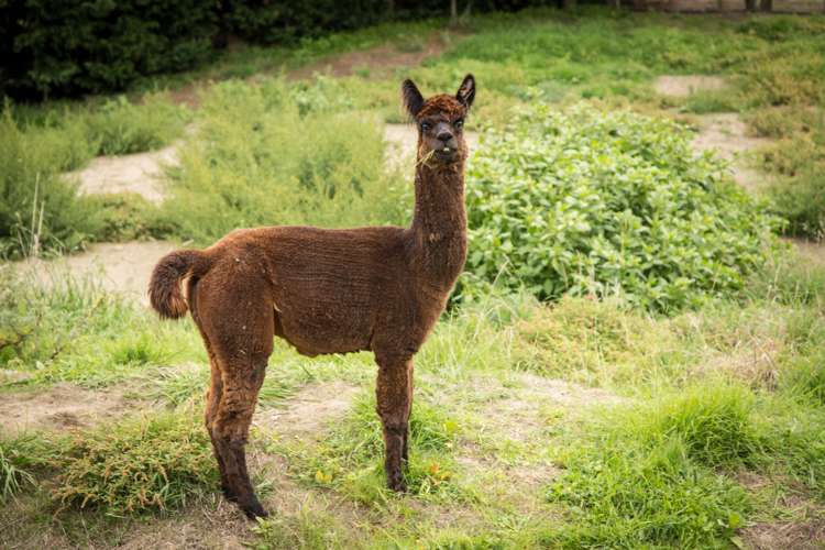 38 Raukawa Road Peka Peka_19