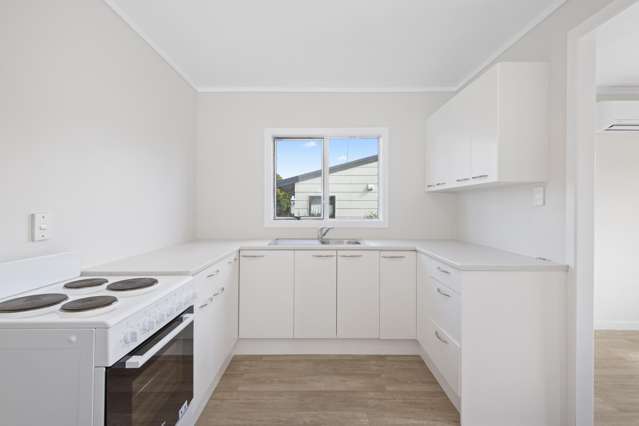 65a Princes Street Pukekohe_4