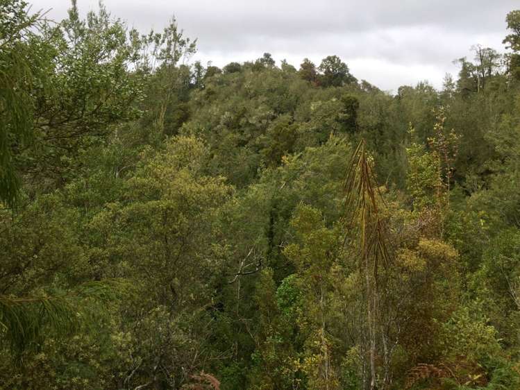 134b Granite Creek Road Karamea_11