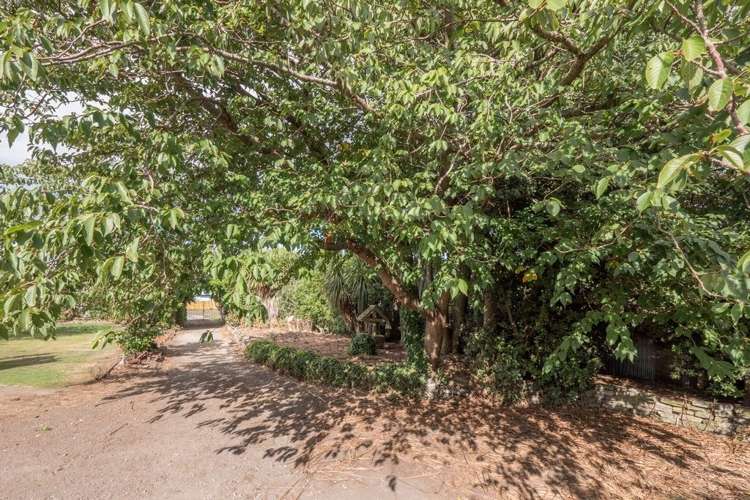 56 Patu-Kukupa Street Manaia_16