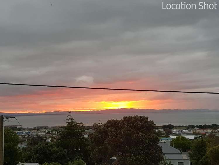 306 Hill Street Thames_29