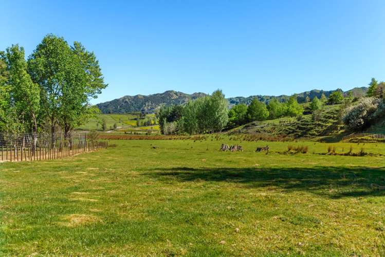 Matokitoki Valley Road Matokitoki_4