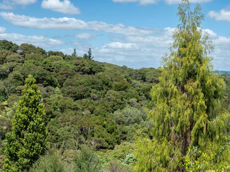 200 Opito Bay Road Kerikeri_26