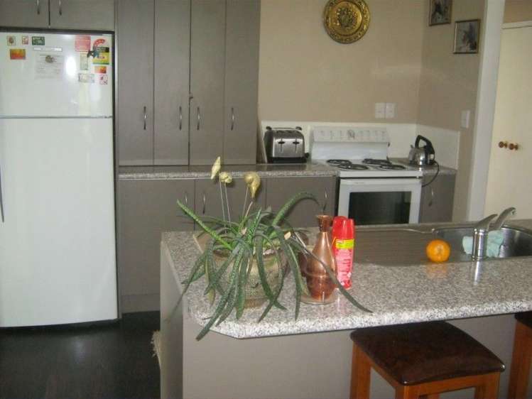 24 Shoalhaven Street Paeroa_2