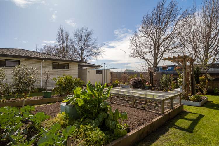 22a Lewis Street Redwoodtown_21