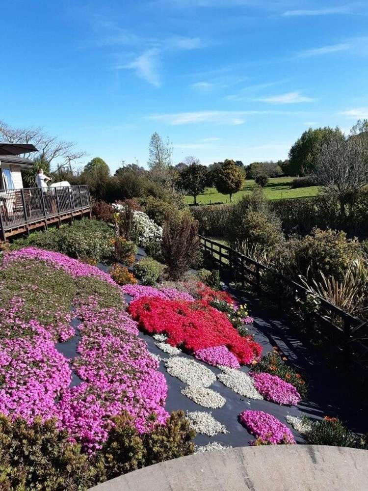 217a Old Taupiri Road Ngaruawahia_13