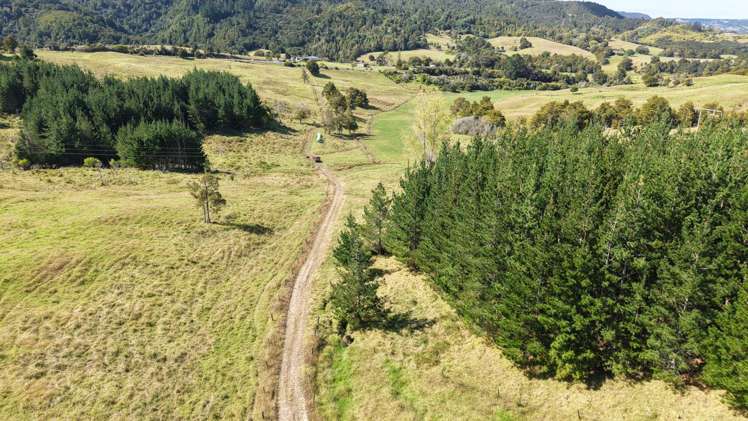 2934 State Highway 1 Umawera_14