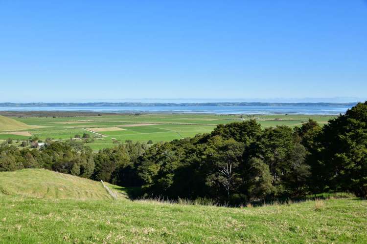 3356 Kaipara Coast Highway Glorit_6
