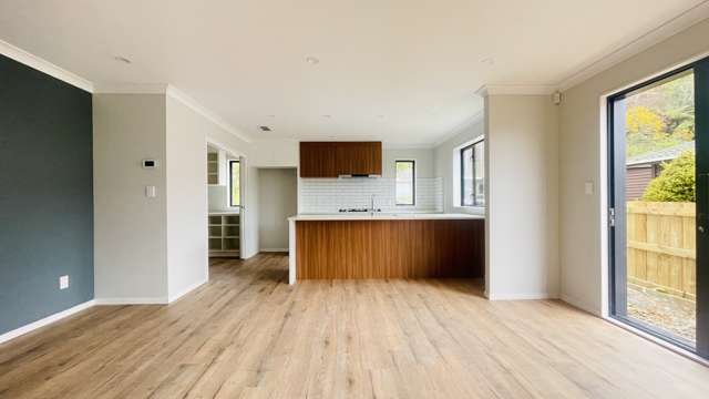 44a Phillip Street Johnsonville_4