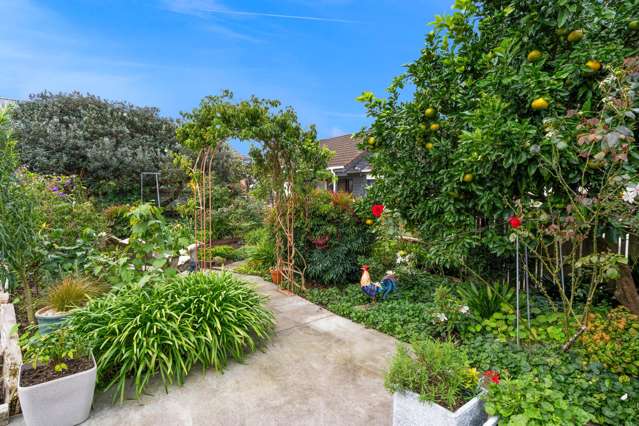 46b Mill Road Regent_3