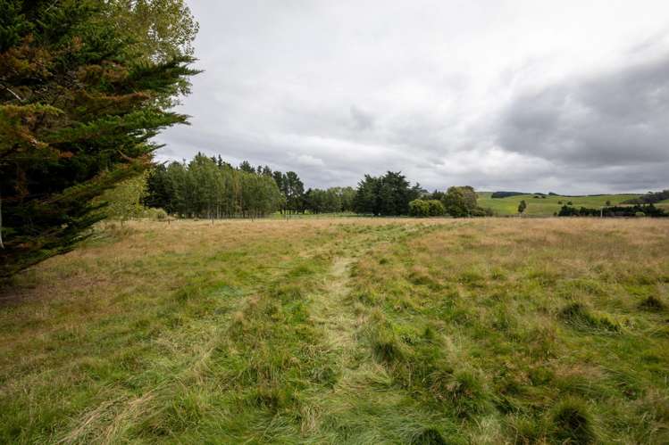 657 Domett Road Domett_38