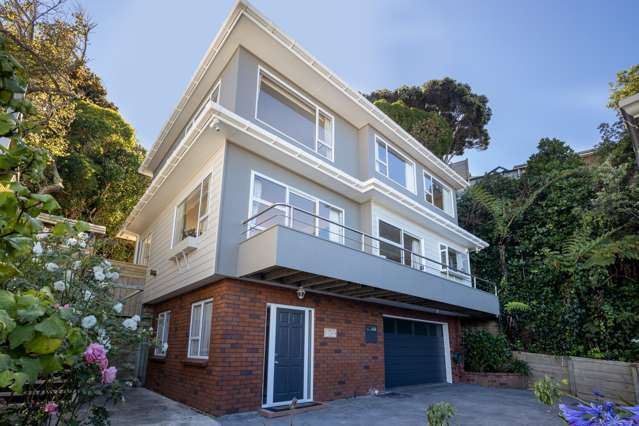 Views Over Evans Bay