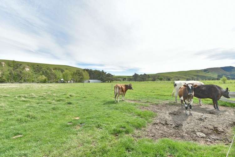 1636 Christchurch Akaroa Road Gebbies Valley_22