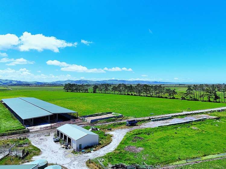 331 Simpson Road Ruawai_9