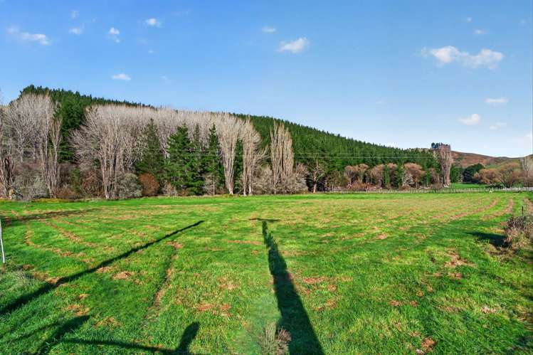 29 Blackhill Road Tinui_5