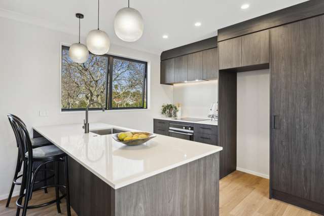 6 Nolan Road Greenlane_3