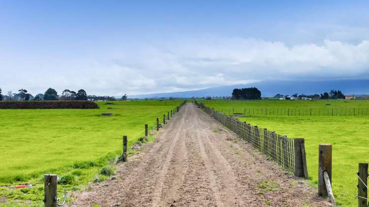 0n Ngarongo Road Normanby_63