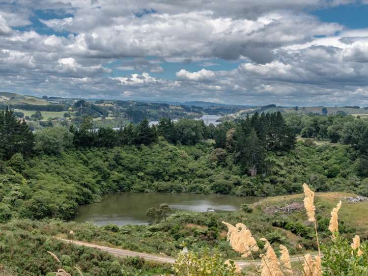 648b Maungatautari Road Cambridge_16