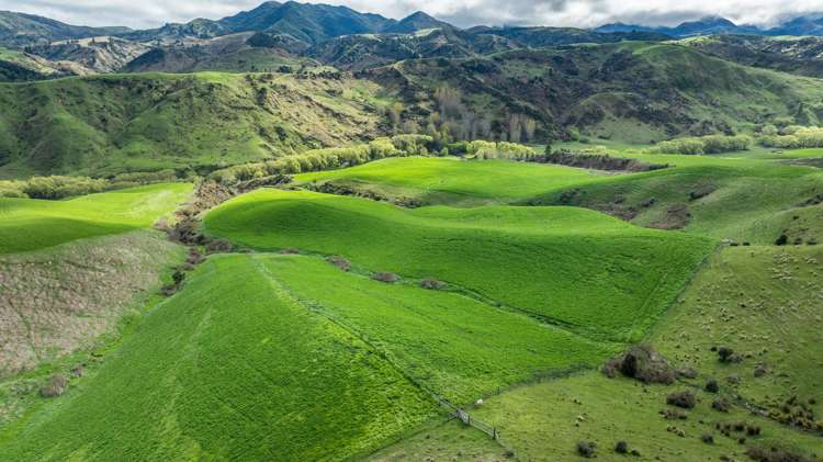 734 Leader Road West Waiau_5