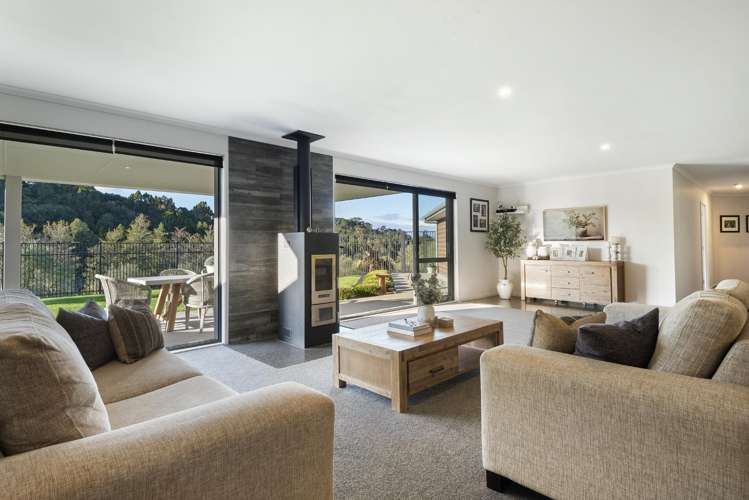 253 Horseshoe Bush Road Dairy Flat_13