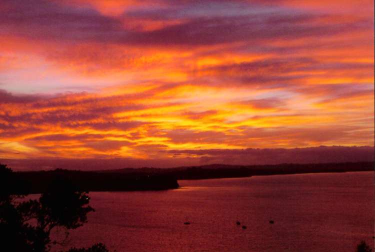 23 Roberts Road Matakatia_26