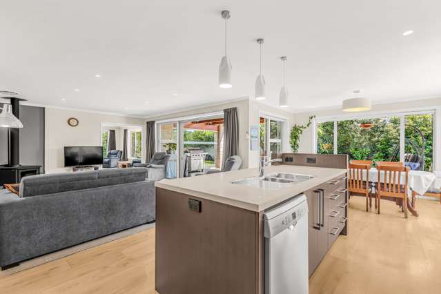 117F Old Renwick Road Springlands_4