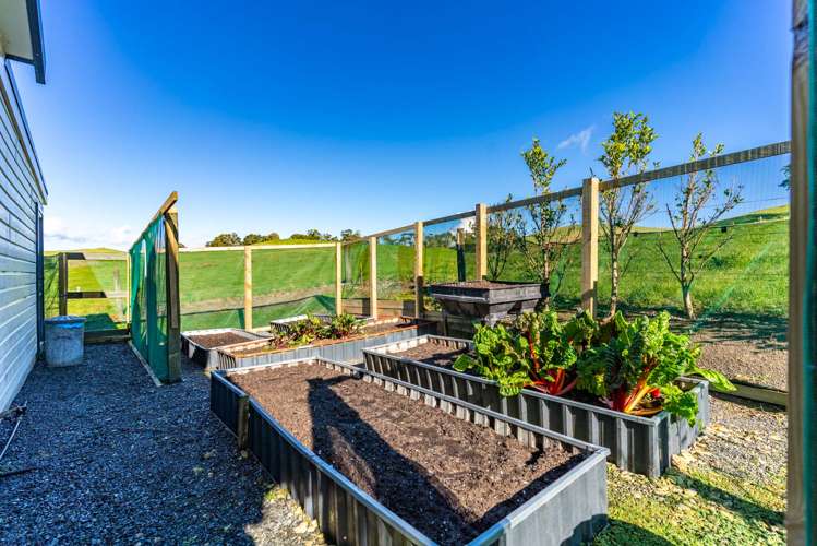 264 Bee Bush Road Dargaville_21