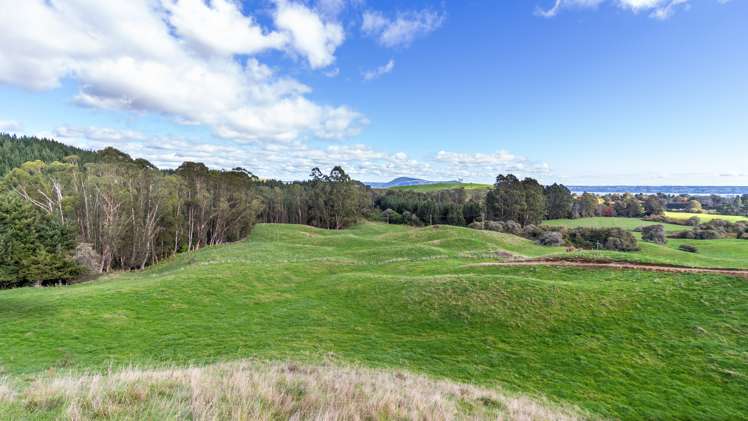 206E State Highway 30 Tikitere_6