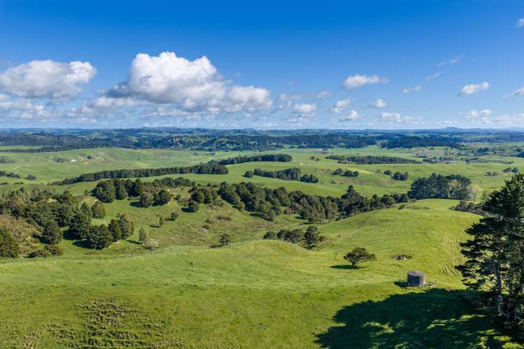 1698 Hetherington Road Huntly_8