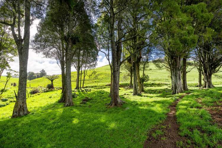 554 Maungatawhiri Road (bare block) Raglan_14