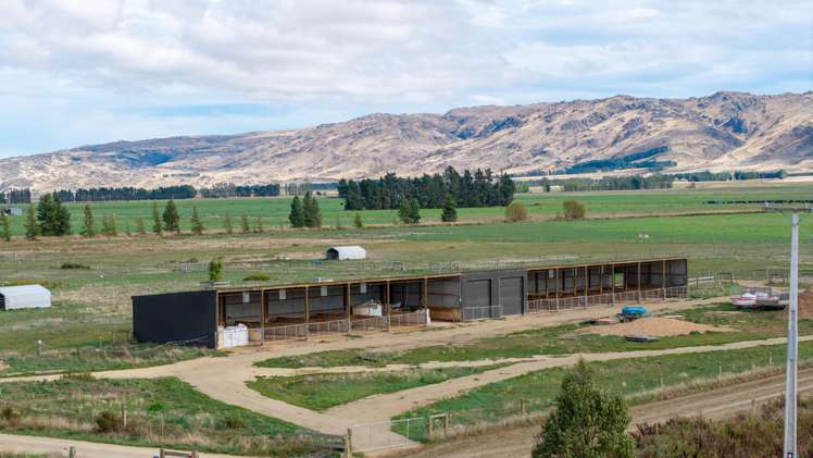 263 Puketoi Runs Road Puketoi_19