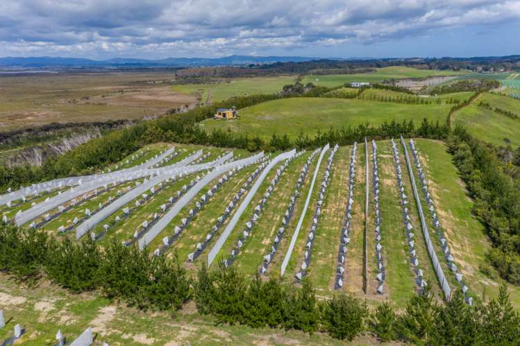 168 Heath Road Awanui_14