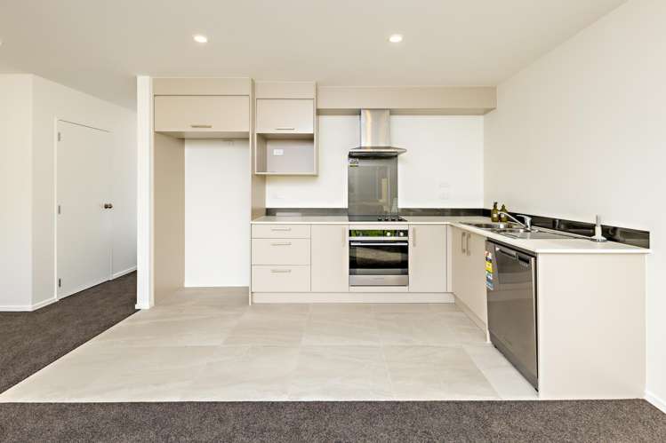114 Joseph Street Flat Bush_5