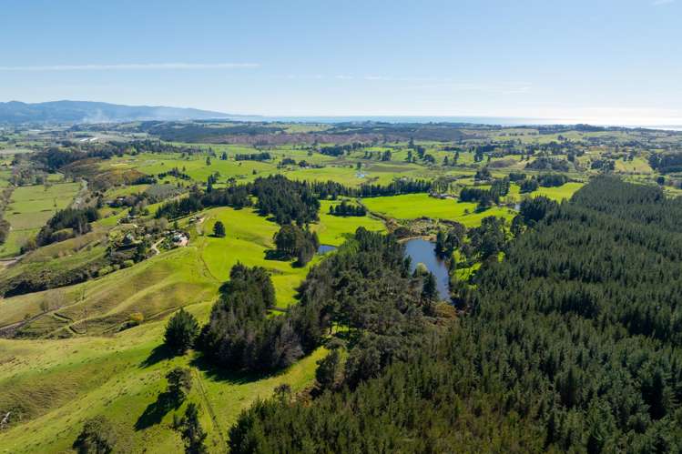 240 George Harvey Road Upper Moutere_25