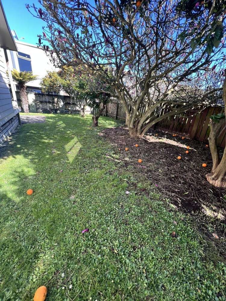 64A May Street 1076_3