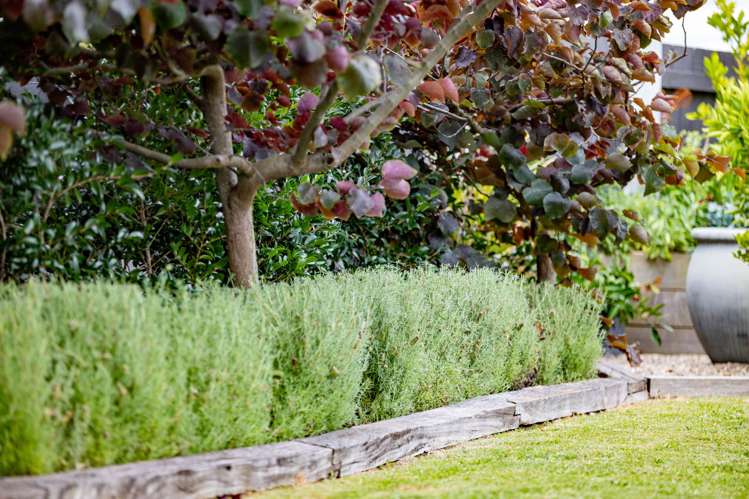 1B Tomin Road Glenview_27