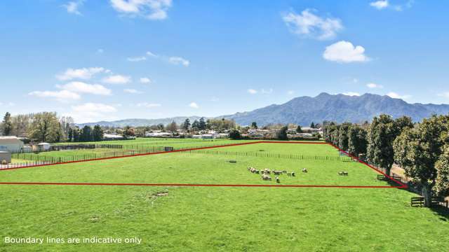 11a Lewis Street Waihou_2