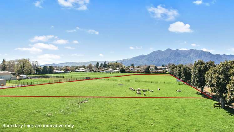 11a Lewis Street Waihou_2