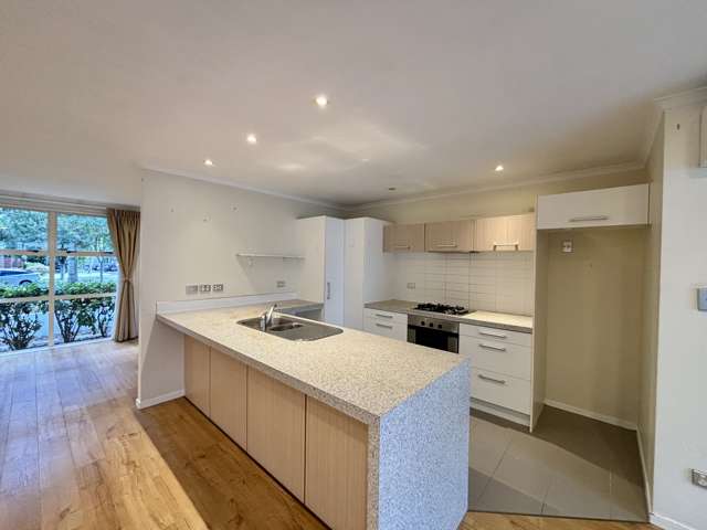 55 Bruce Pulman Drive Takanini_4