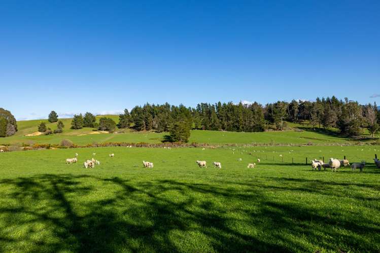 240 George Harvey Road Upper Moutere_31