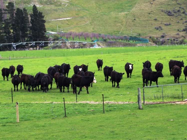 528 Ram Paddock Road Broomfield_20