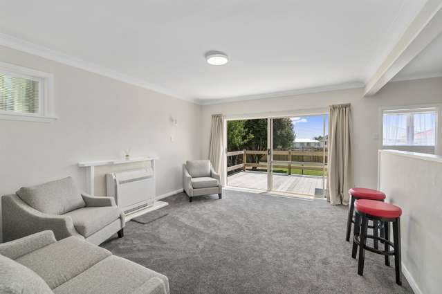 26 Mabel Street Levin_4