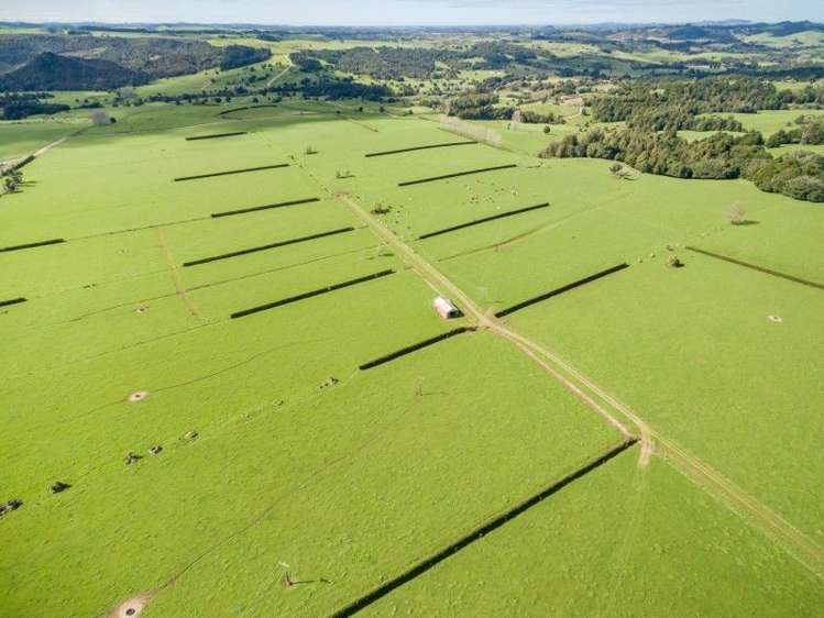 403 Te Ahu Ahu Road Waimate North_44